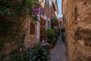 Pure Salt Port de Sóller, Soller