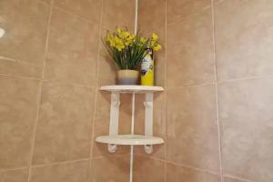 Visteriya Sirius Guest house, Adler