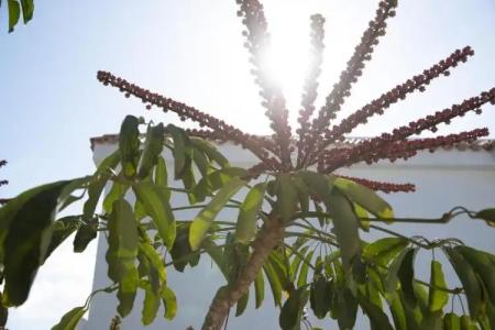 Fuentepark Apartments - 75