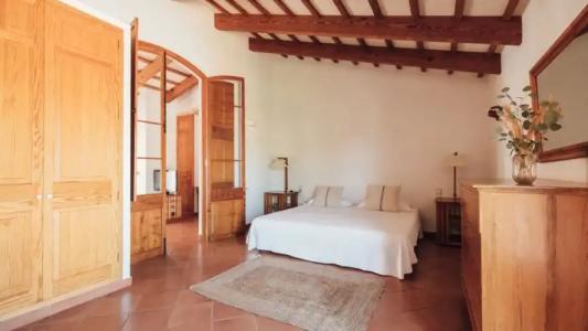 Rural Sant Ignasi - 38