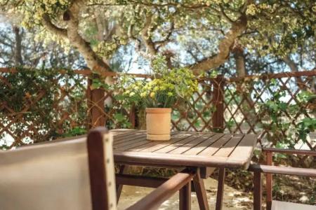 Rural Sant Ignasi - 37