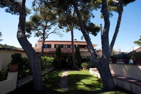 Gran Rey Don Jaime - 18