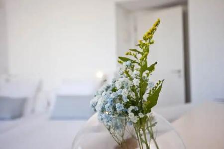 Galaxia Boutique - 36