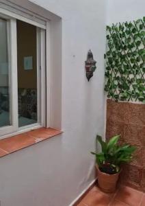 Hostal Canalejas - 6