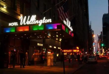 Wellington - 34
