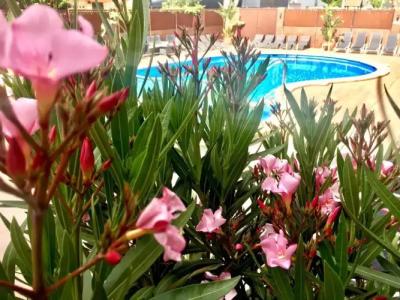 Stella Maris Family rooms Apartments - 39