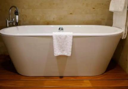 The Artist Grand of Art - 81