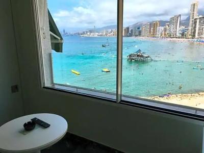 Kaktus Benikaktus - 162