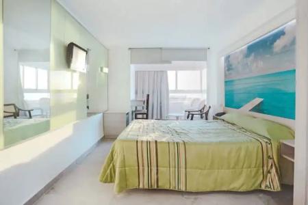 Kaktus Benikaktus - 102