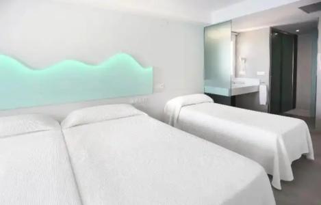 Kaktus Benikaktus - 152