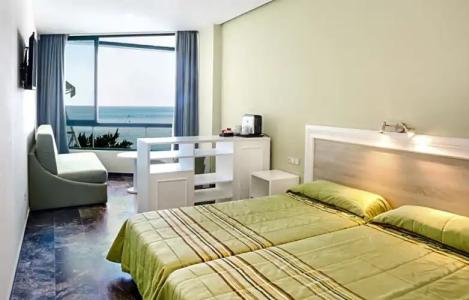 Kaktus Benikaktus - 176