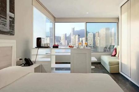 Kaktus Benikaktus - 169