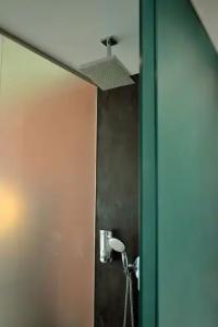 Kaktus Benikaktus - 147