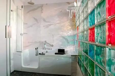 Kaktus Benikaktus - 173