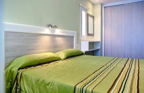 Kaktus Benikaktus - 174