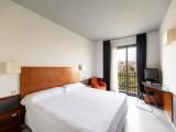 Standard Double room with park view