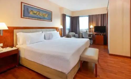 Bohemian Entenza - 74