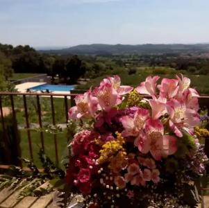 Mas Ses Vinyes - Adults Only - 17