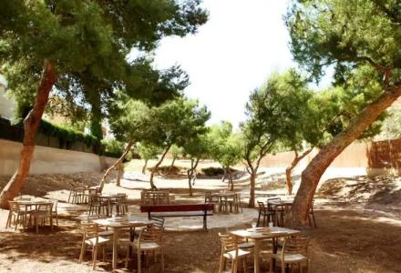 Boutique Calas de Alicante - 17