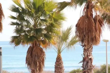 Ibis Budget Alicante - 11