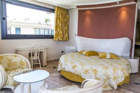 Kaktus Kaktus Albir - 164