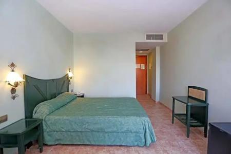 Kaktus Kaktus Albir - 79