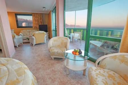 Kaktus Kaktus Albir - 165