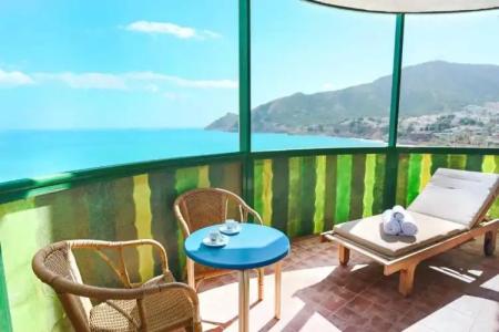 Kaktus Kaktus Albir - 175