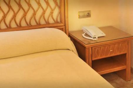 Kaktus Kaktus Albir - 181