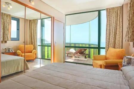 Kaktus Kaktus Albir - 176