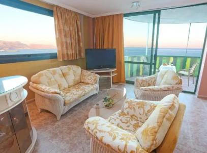 Kaktus Kaktus Albir - 142