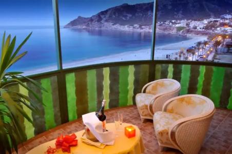 Kaktus Kaktus Albir - 146