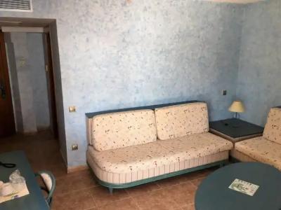 Kaktus Kaktus Albir - 130