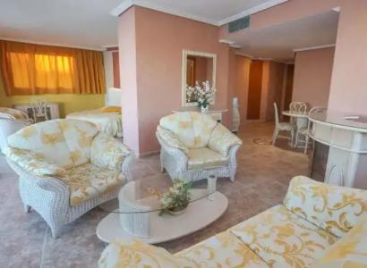 Kaktus Kaktus Albir - 153