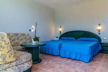 Kaktus Kaktus Albir - 82