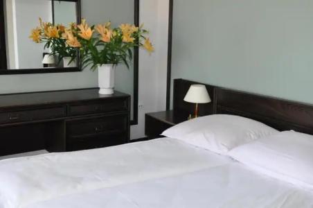 Zajazd Napoleonski - 2