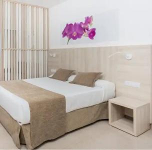 Bahia Principe Sunlight Coral Playa - 26