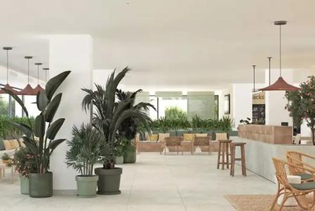 Tangerine by Honnes - 16