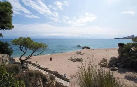 Medplaya Monterrey - 21