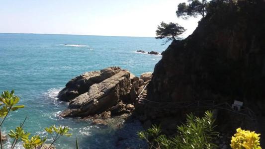 ApartComtat Sant Jordi - 22