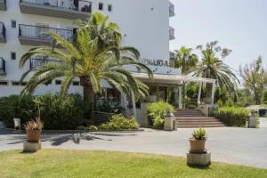 FERGUS Bermudas, Palma Nova