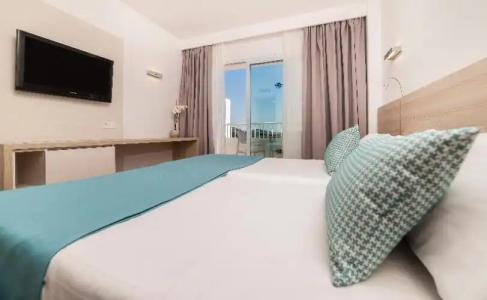 Globales Mimosa - 43