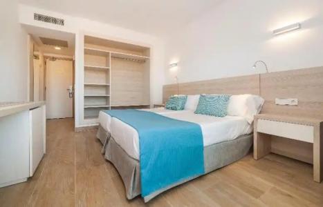 Globales Mimosa - 41