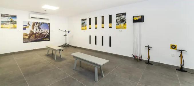 Globales Mimosa - 16