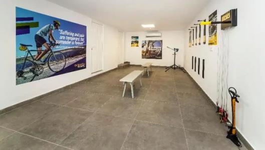 Globales Mimosa - 44