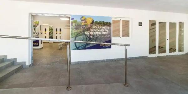 Globales Mimosa - 47