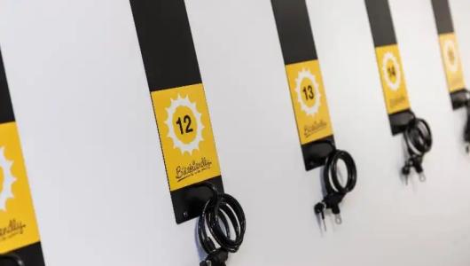 Globales Mimosa - 45