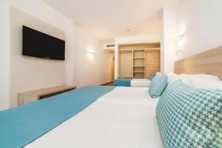 Globales Mimosa - 53