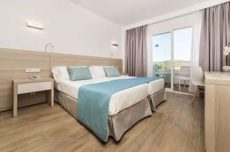 Globales Mimosa - 55