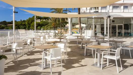 Globales Mimosa - 28